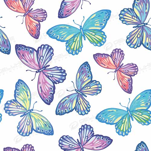 Decorative Design Templates
